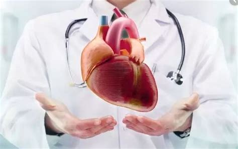 kardiyoloji ile kalp damar arasındaki fark